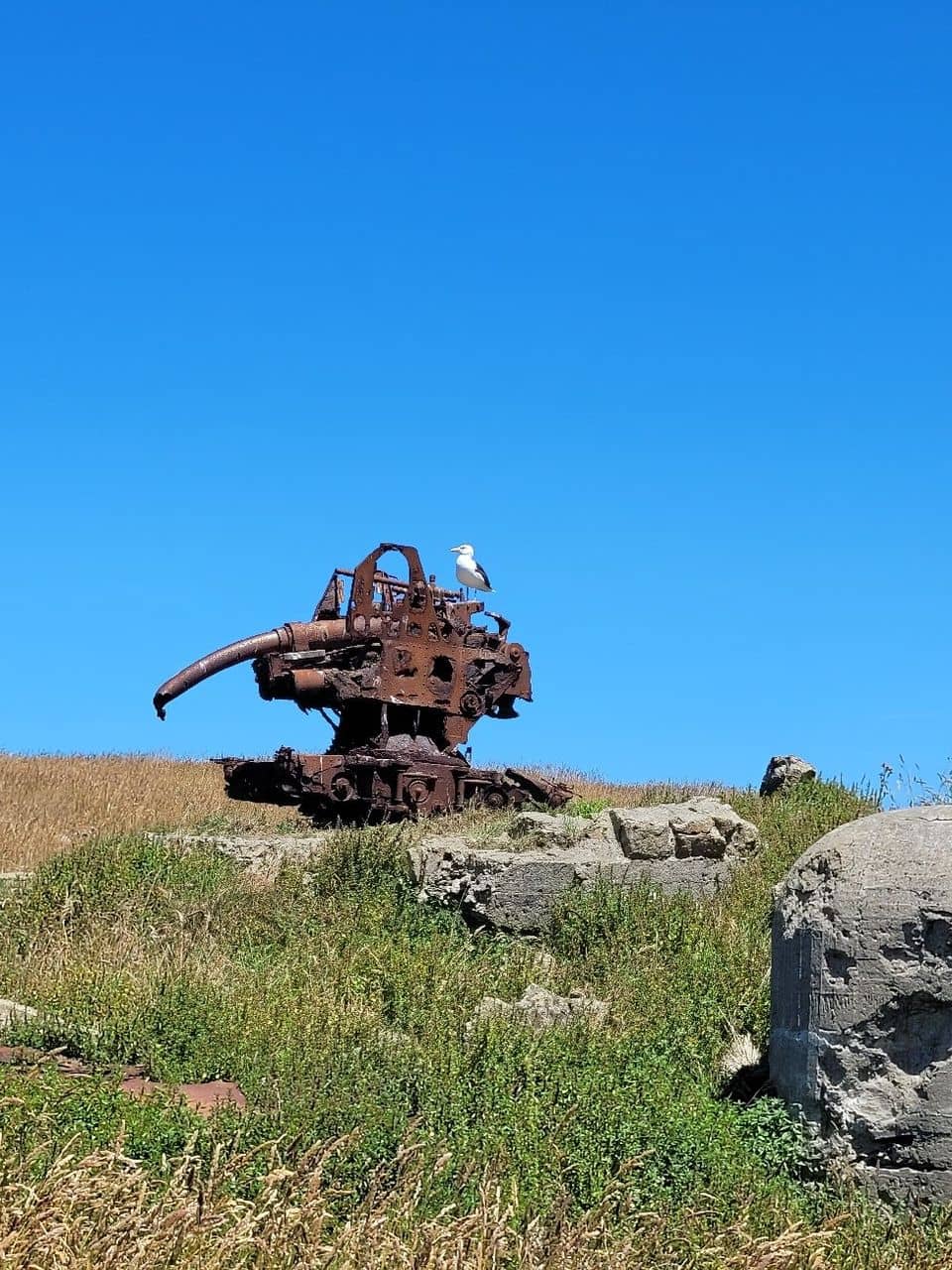 WWII History