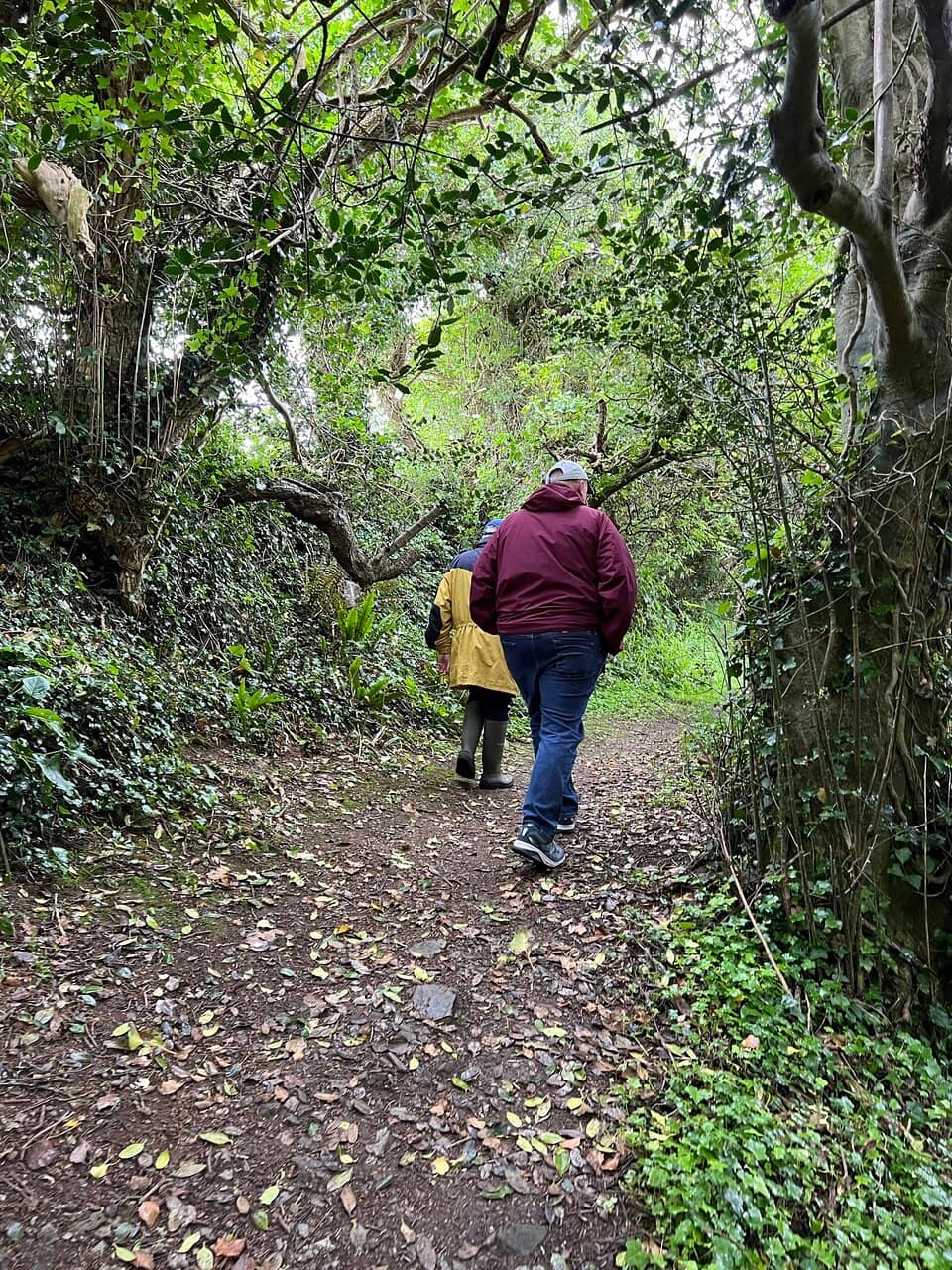 English Tea Experience