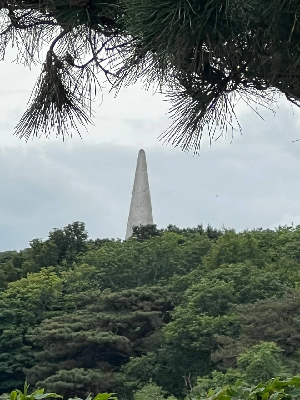 Vertical photo