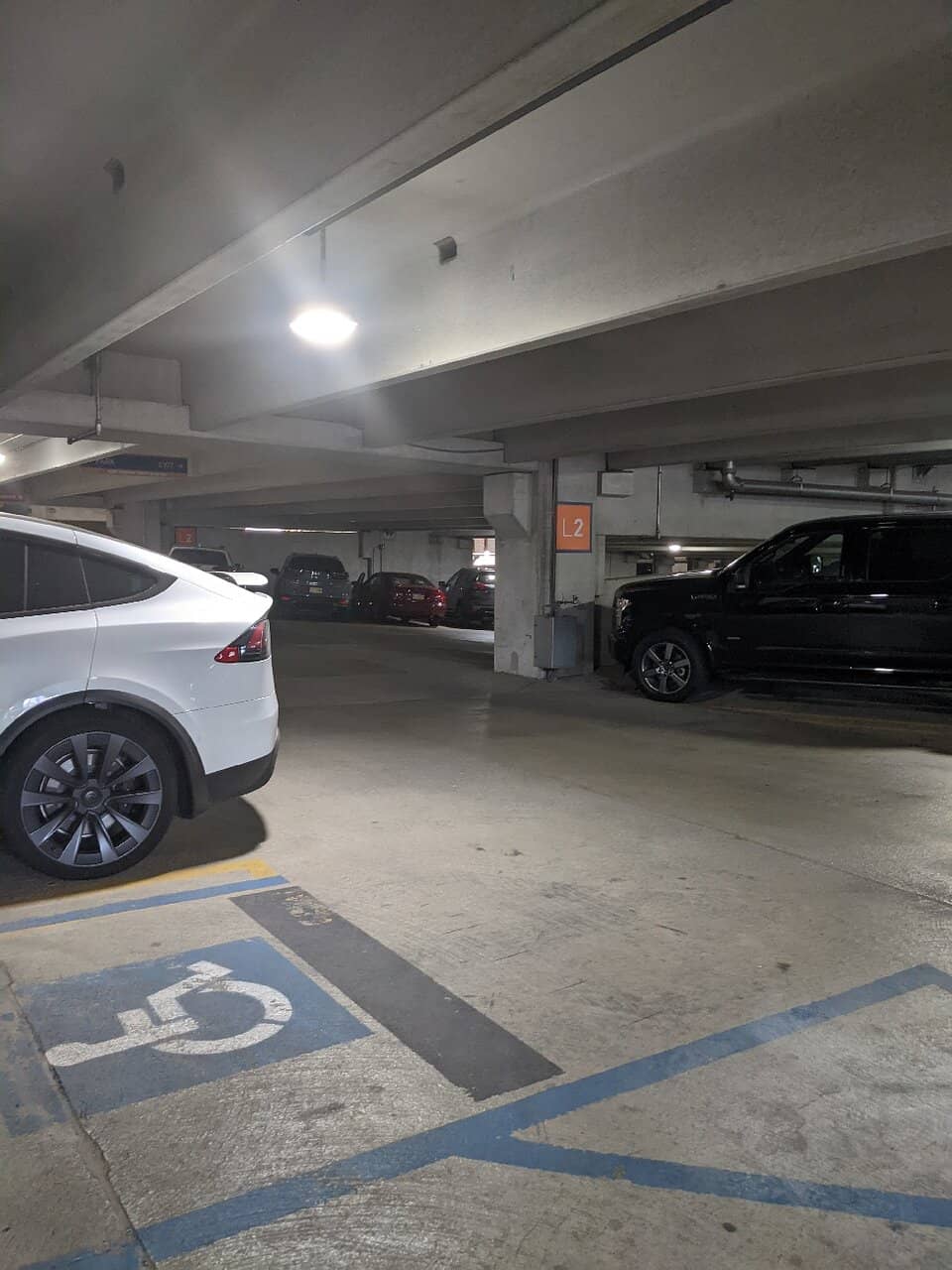 Rooftop Movie Nights