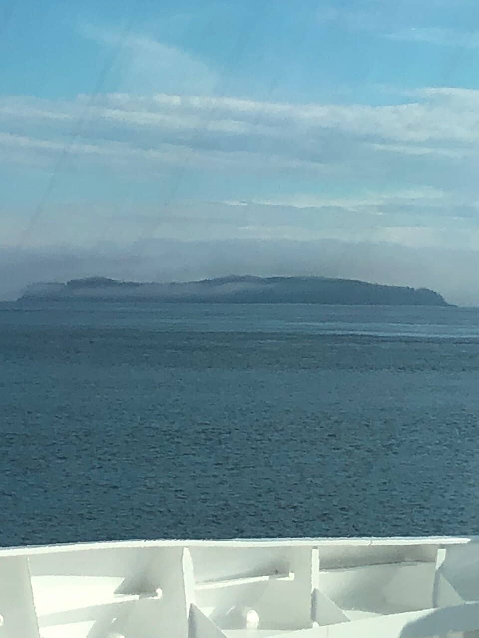 Wildlife Spotting Opportunities