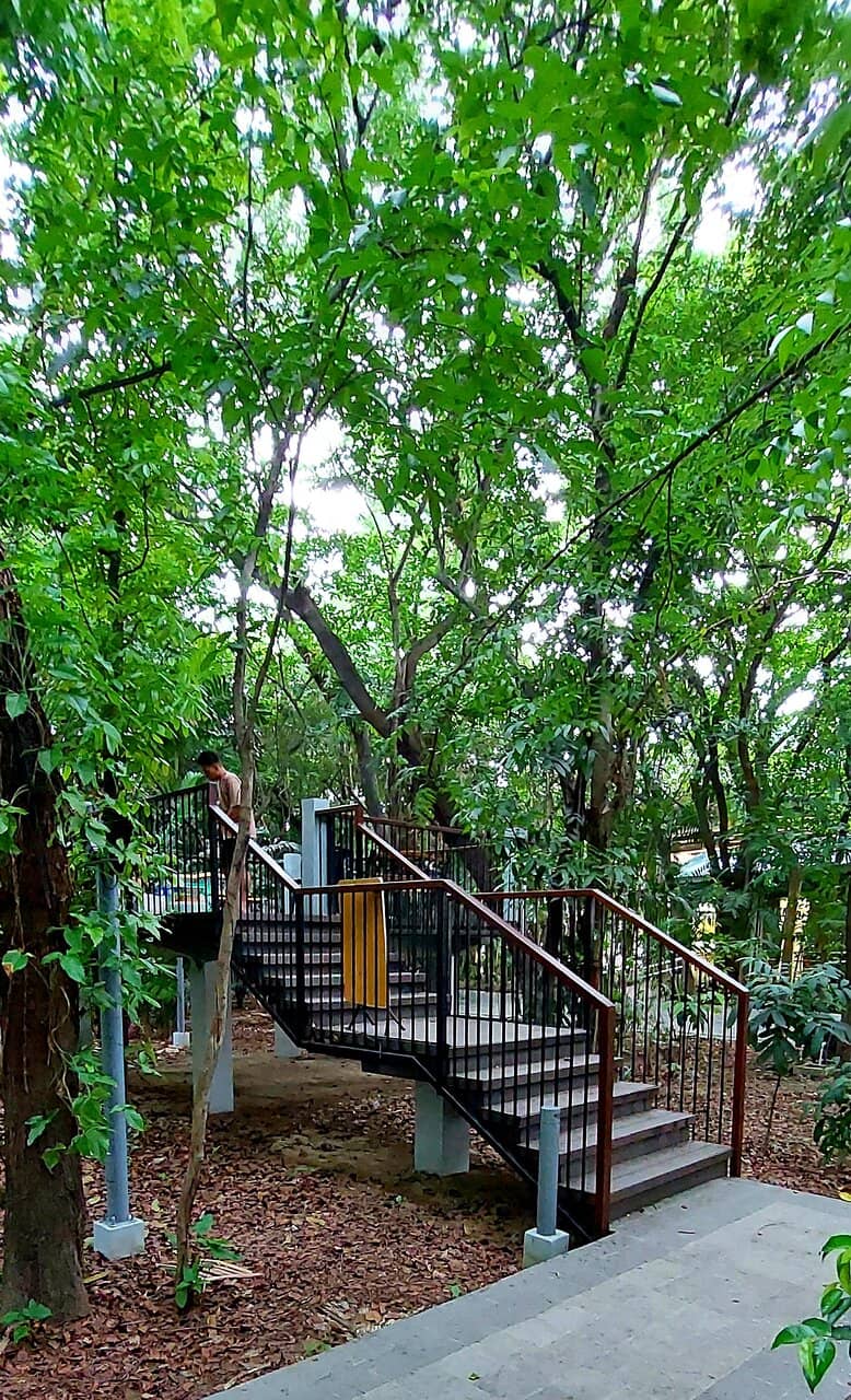 Labeled Trees