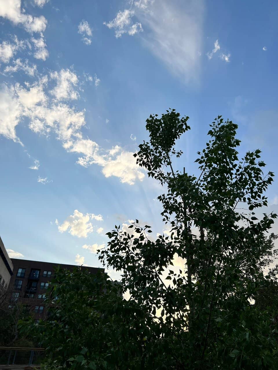 Vertical photo