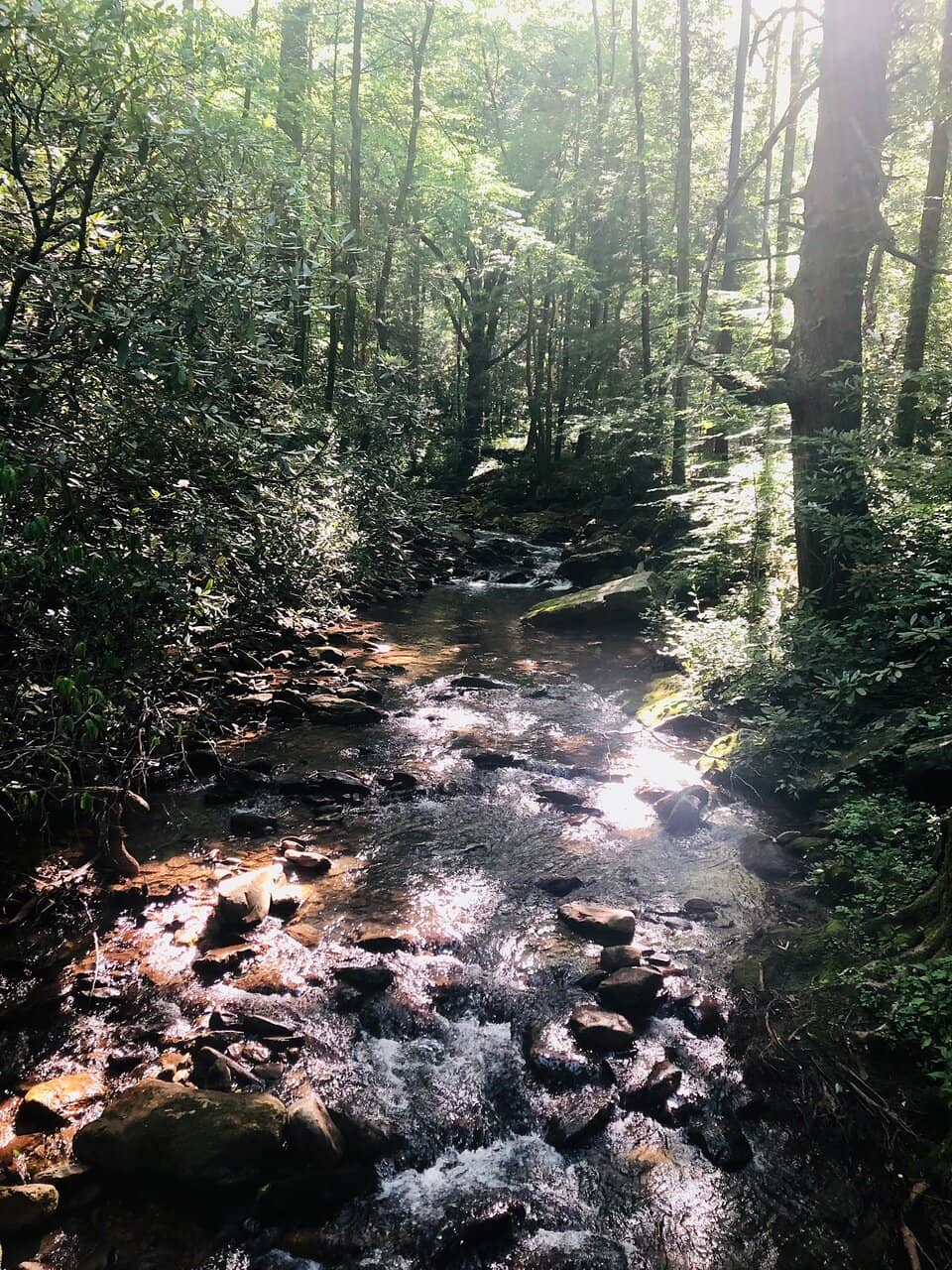 Lower DeSoto Falls