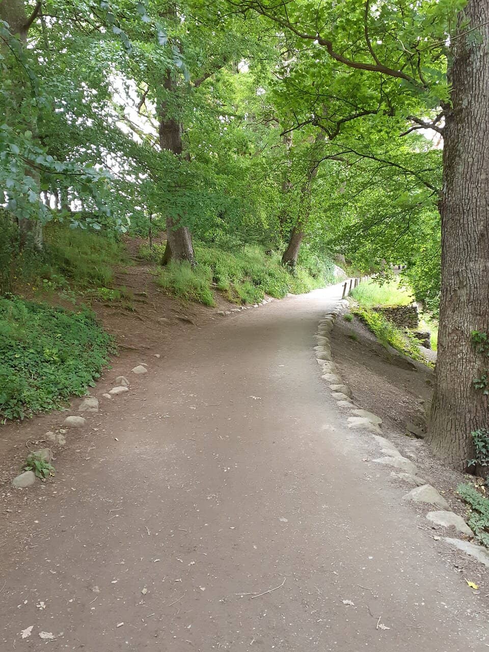 Lakeside Stroll