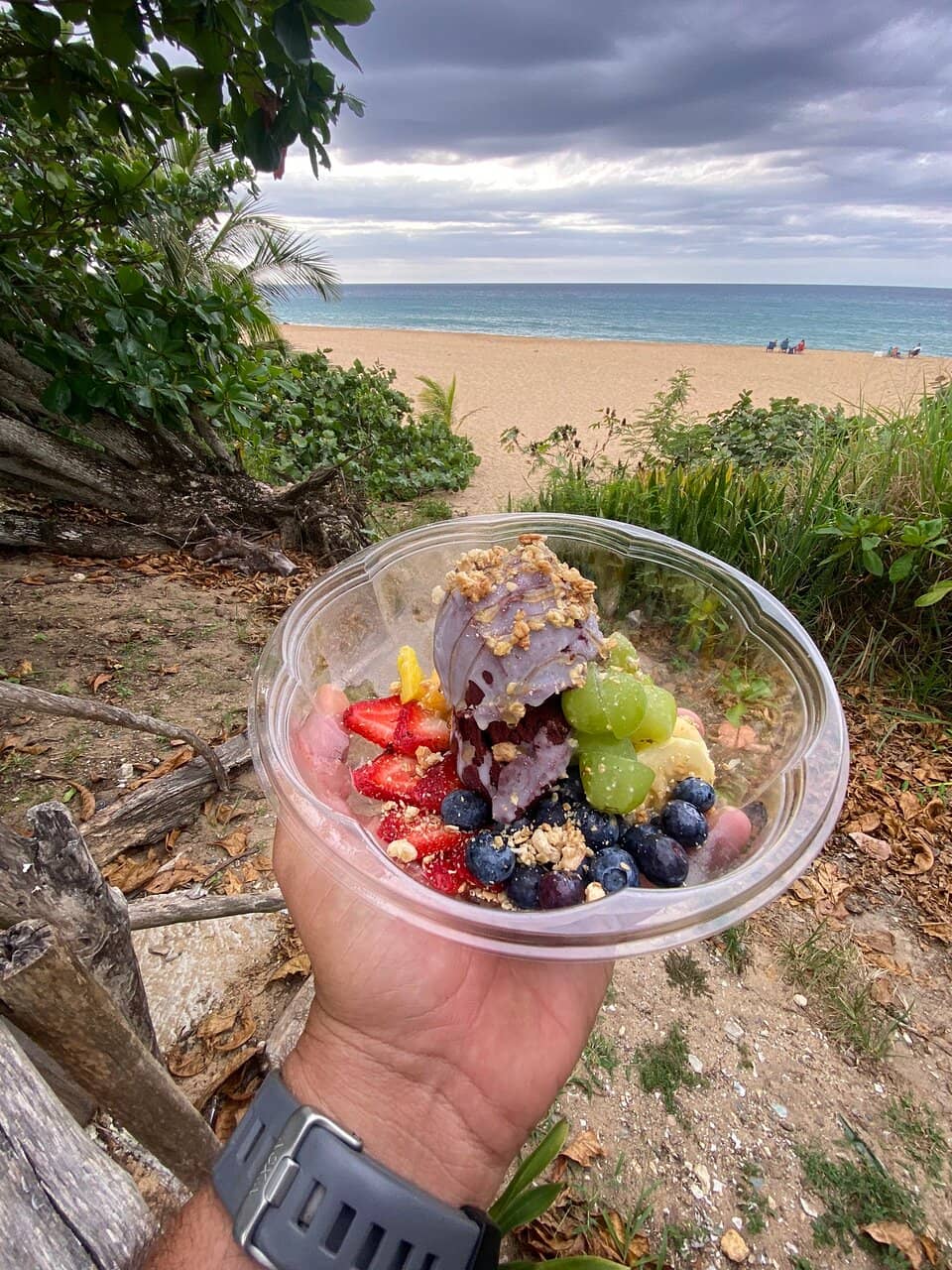 Arecibo's Coastal Charm