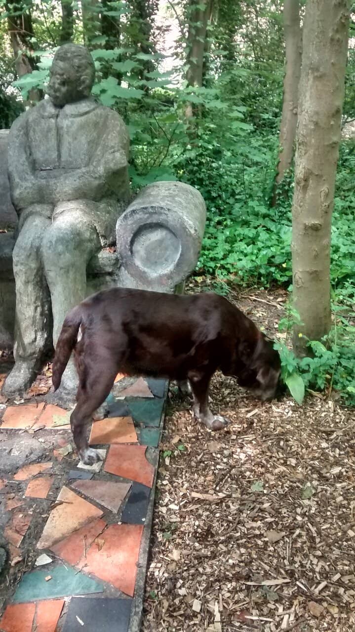 The Railway Heritage