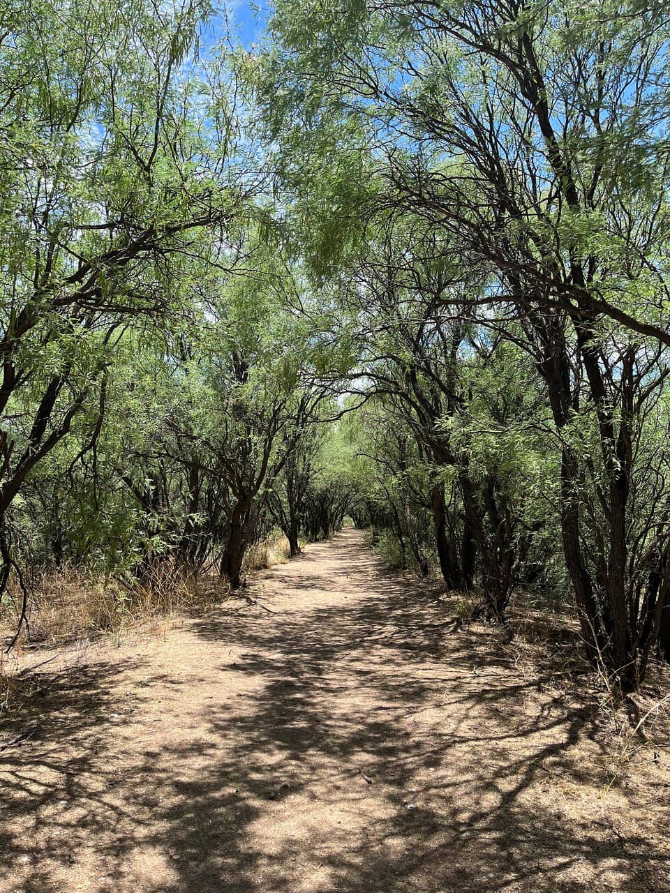 Fairbank Pioneer Cemetery