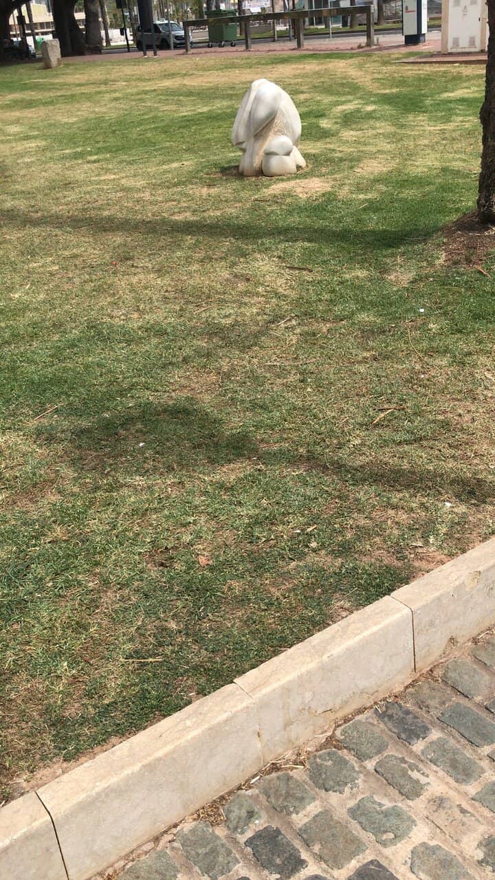 Fallas Festival Spectacle