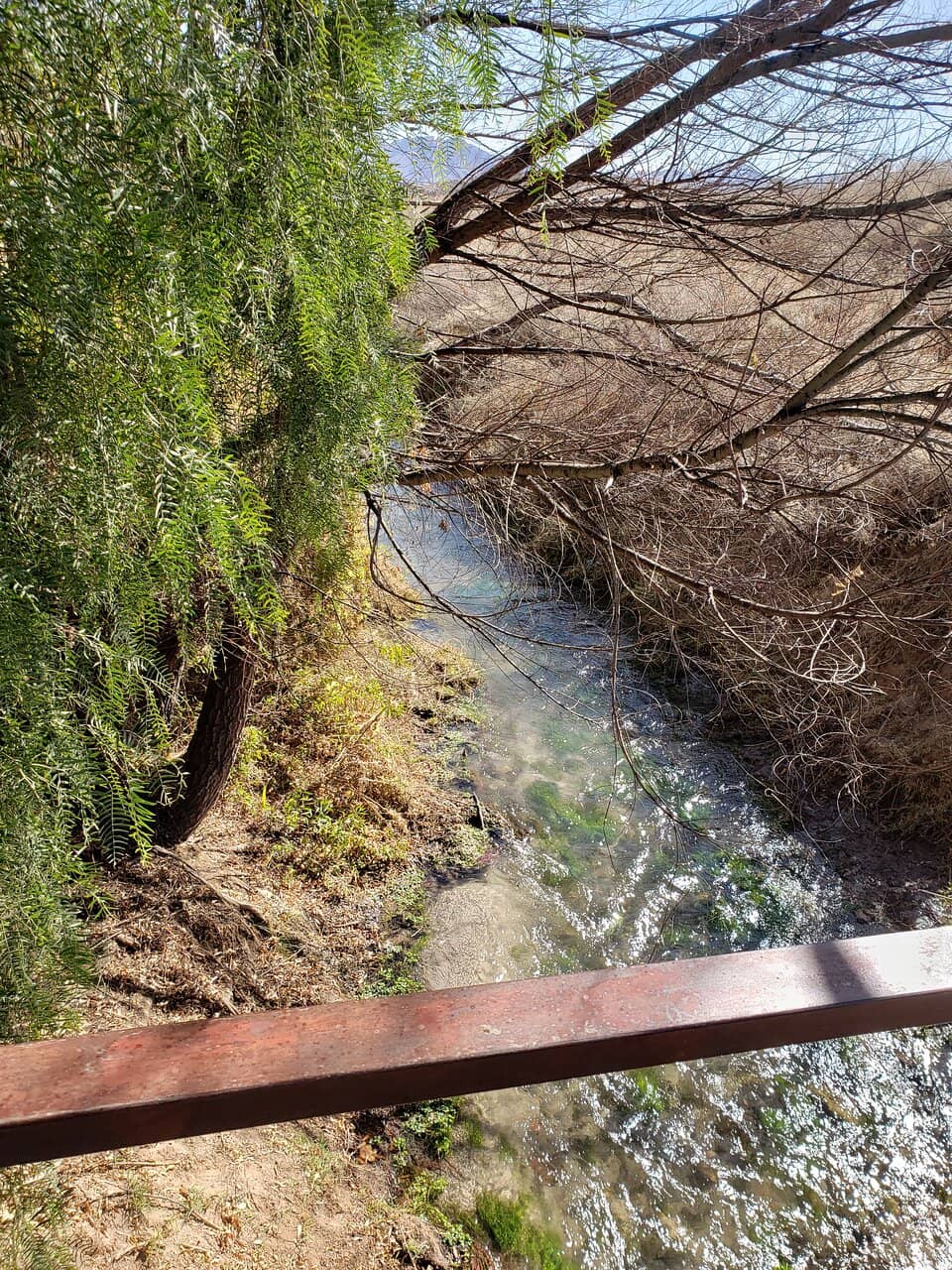 Nicolás Severo Isasmendi's Tomb