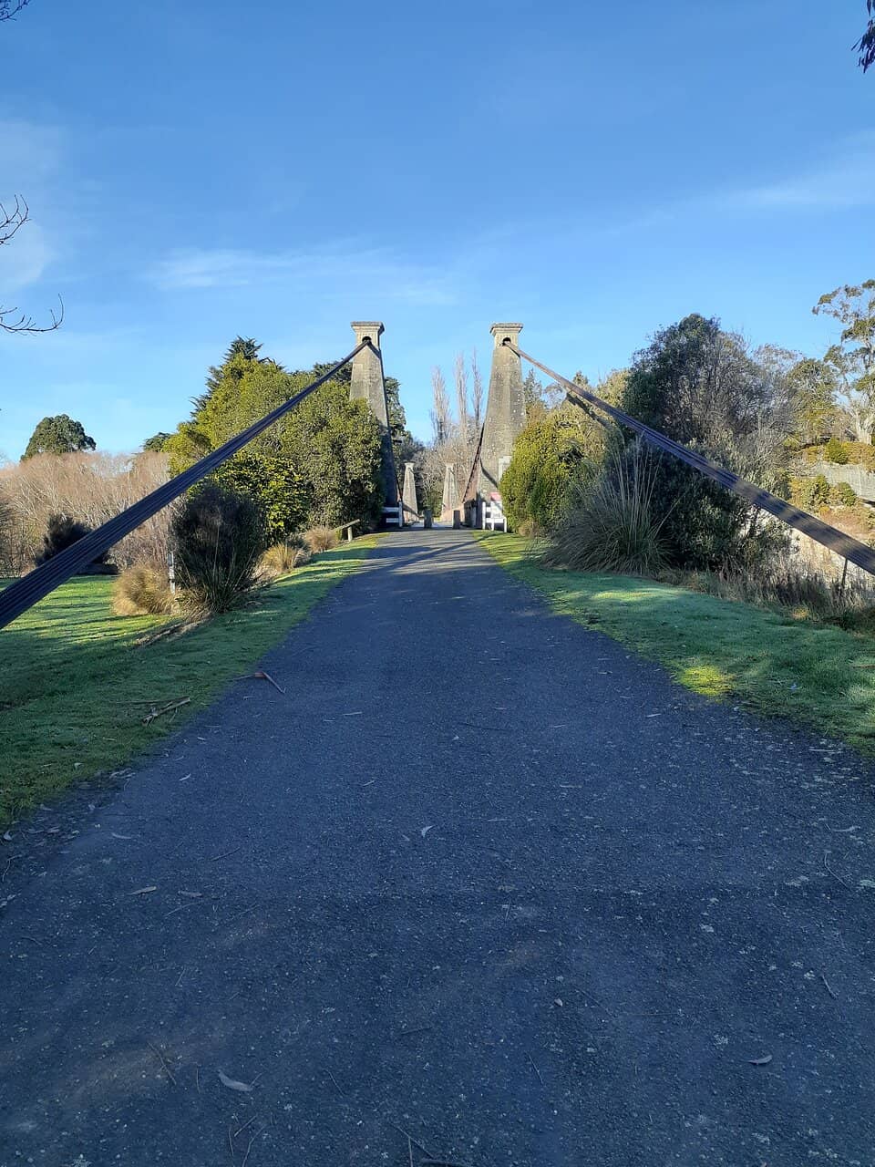 Vertical photo