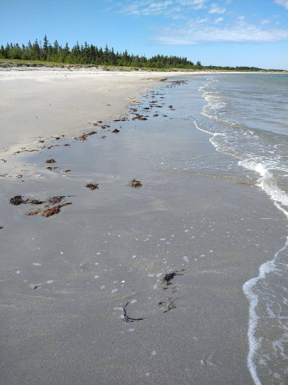 Sunrise and Sunset Views