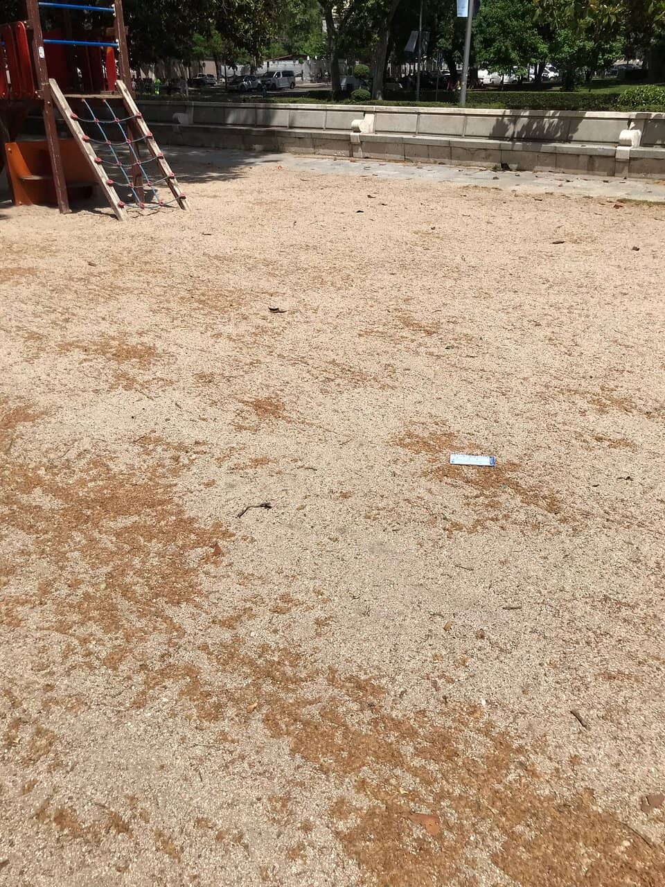 Green Spaces for Relaxation