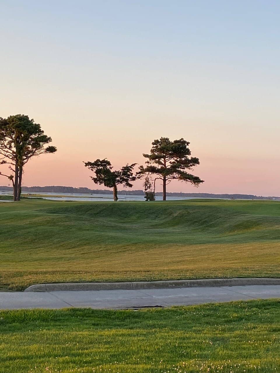 Arthur Hills Championship Design