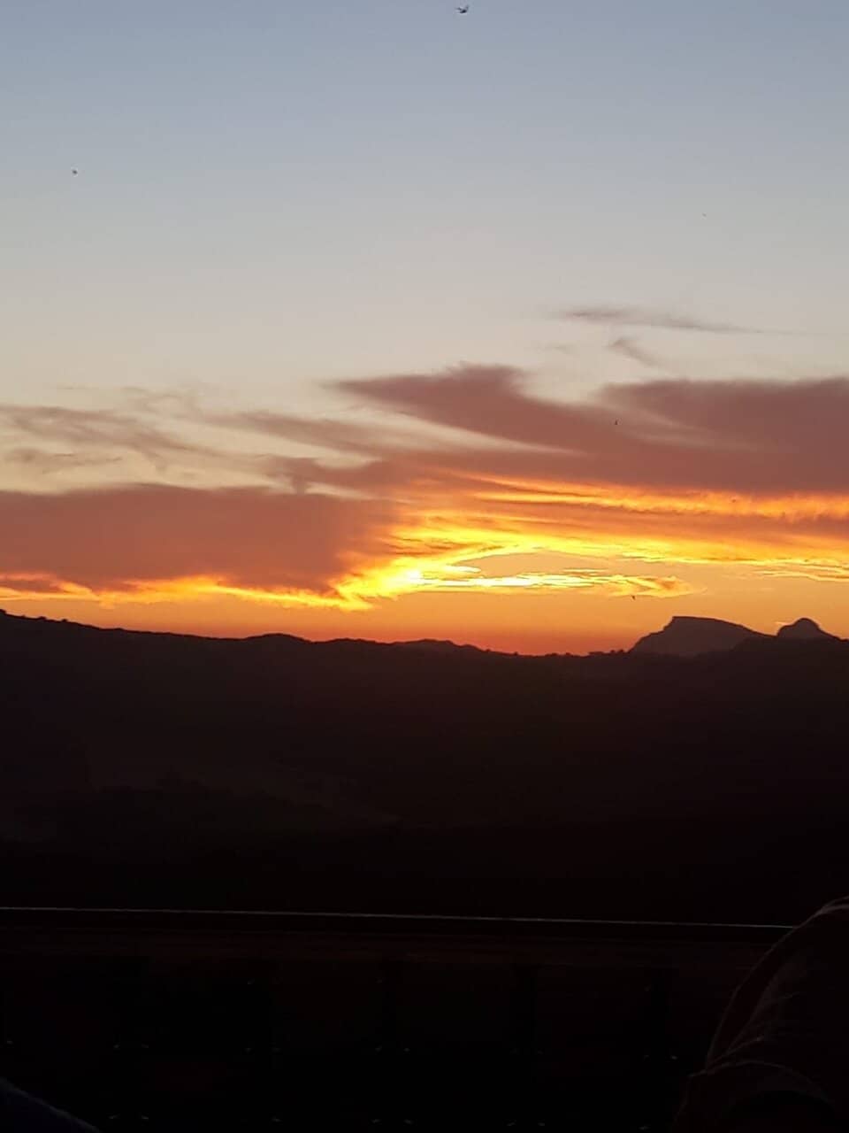 Authentic Spanish Cuisine with a Modern Twist