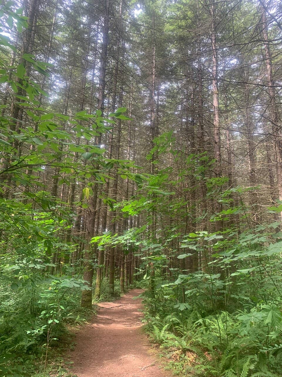 Nature Trails