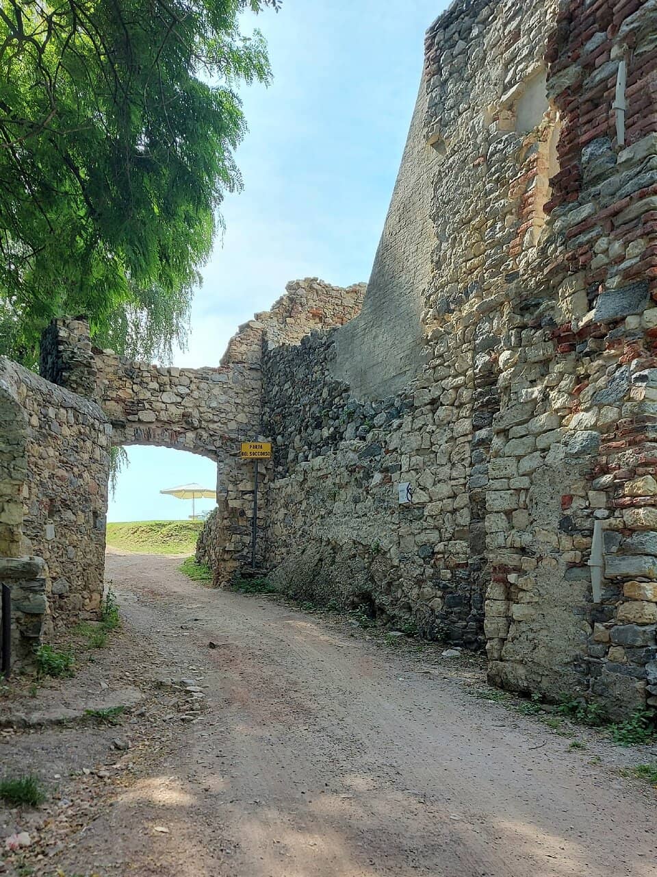 Vertical photo