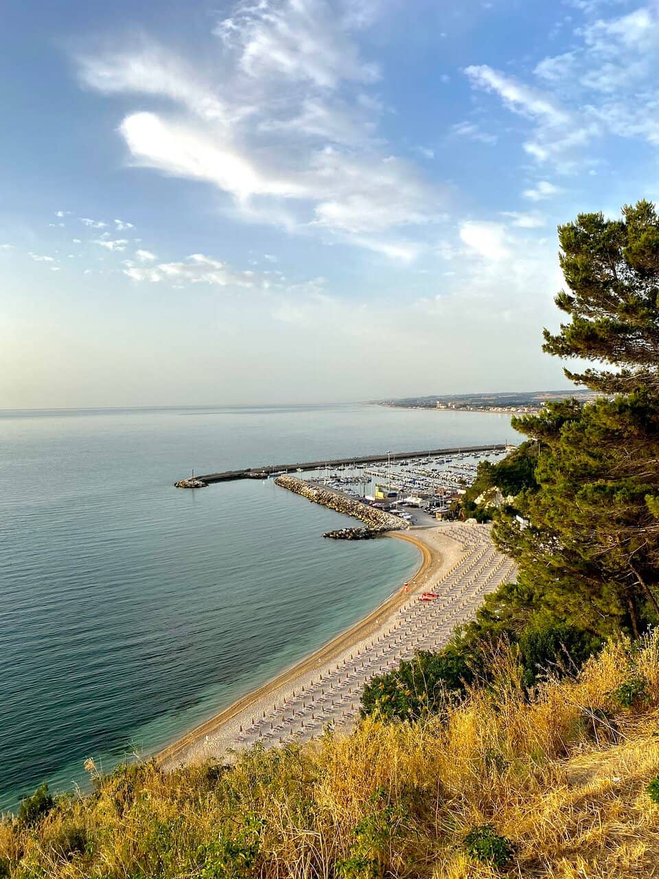 Turtle Release Events