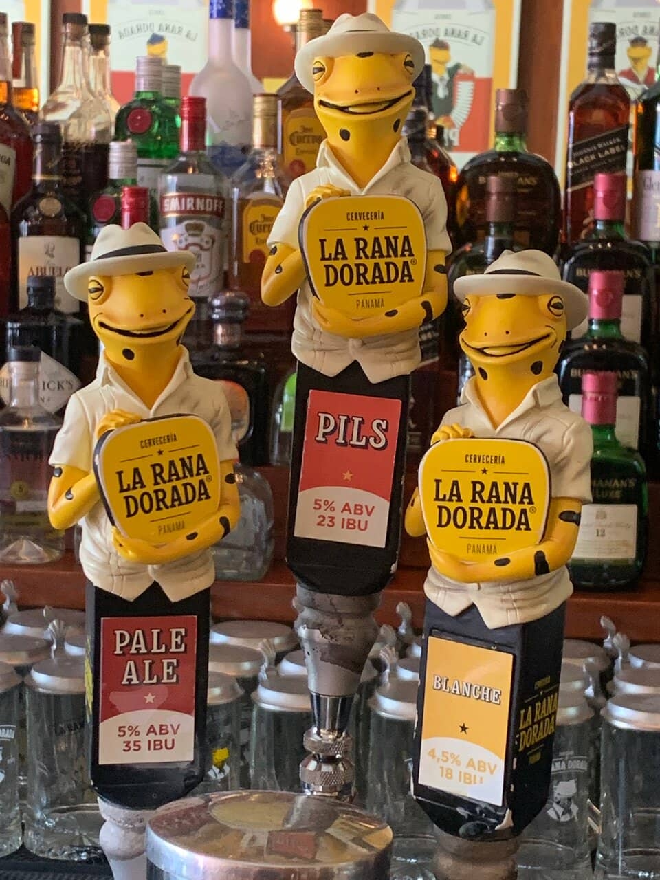 Scenic Coastal Views