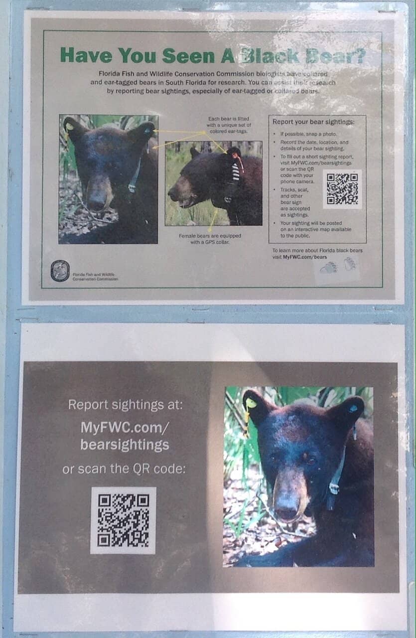 Gateway to Fort Myers Beach