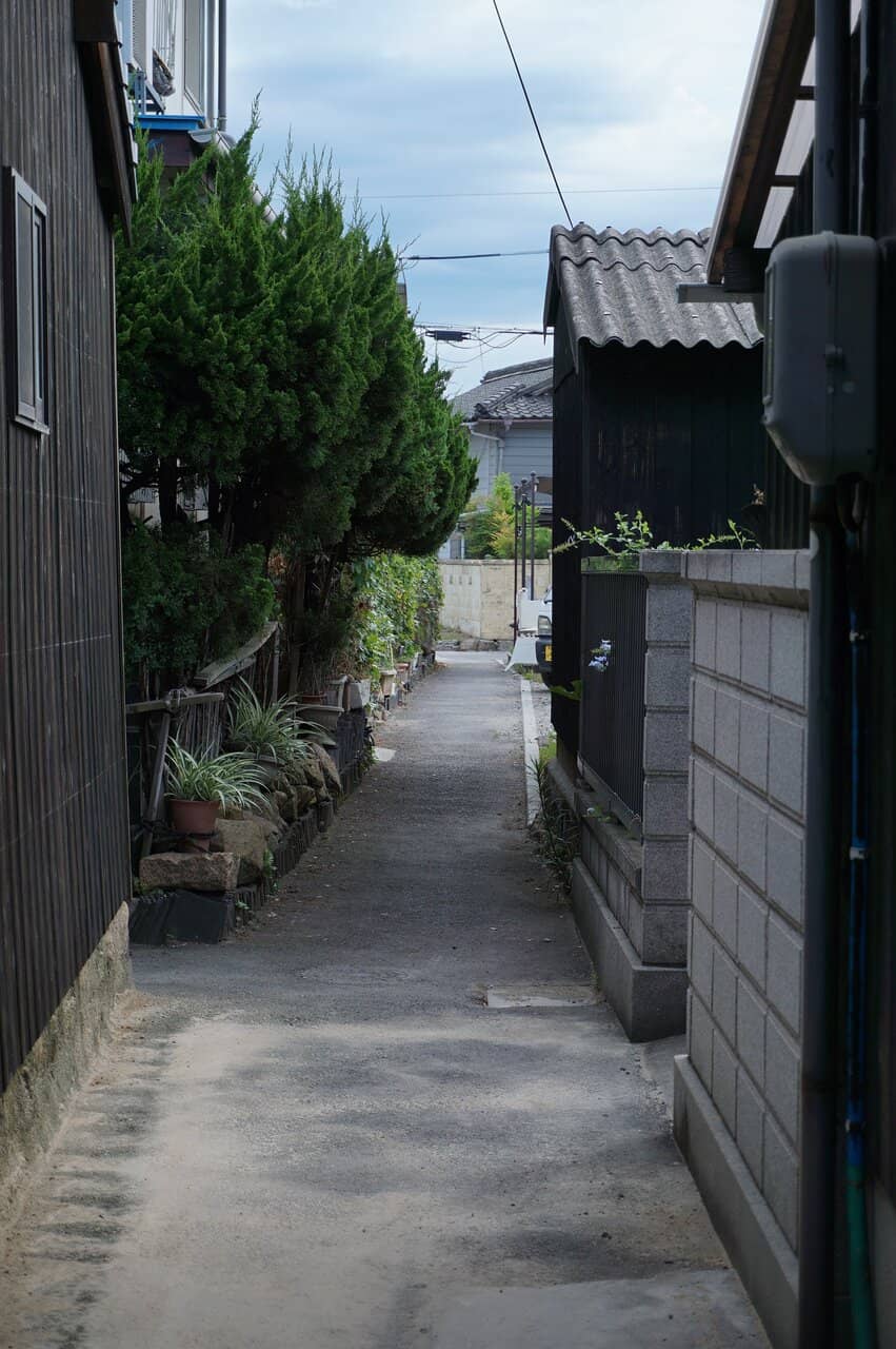Vertical photo