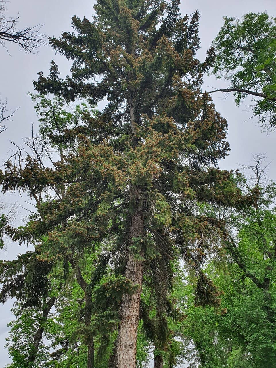 Vertical photo