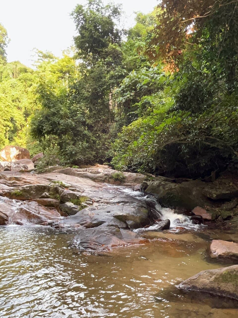 Tranquil River Setting