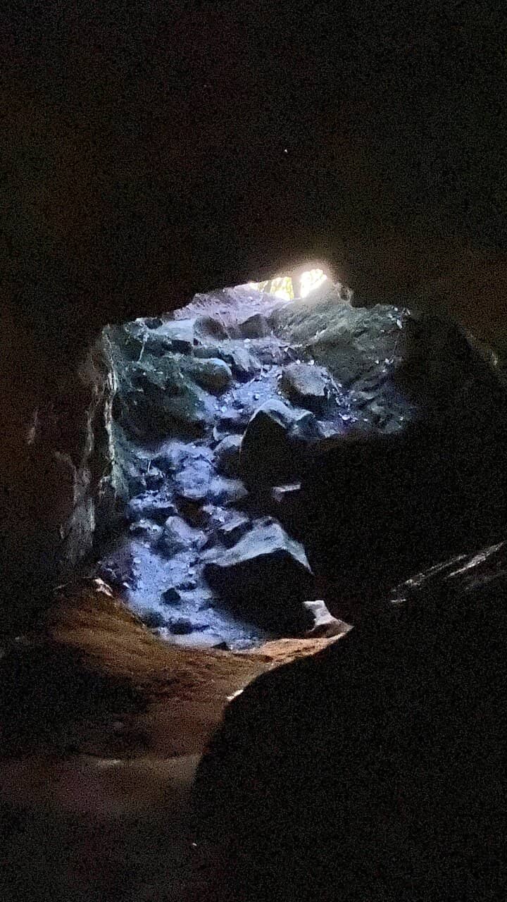 Glow Worms