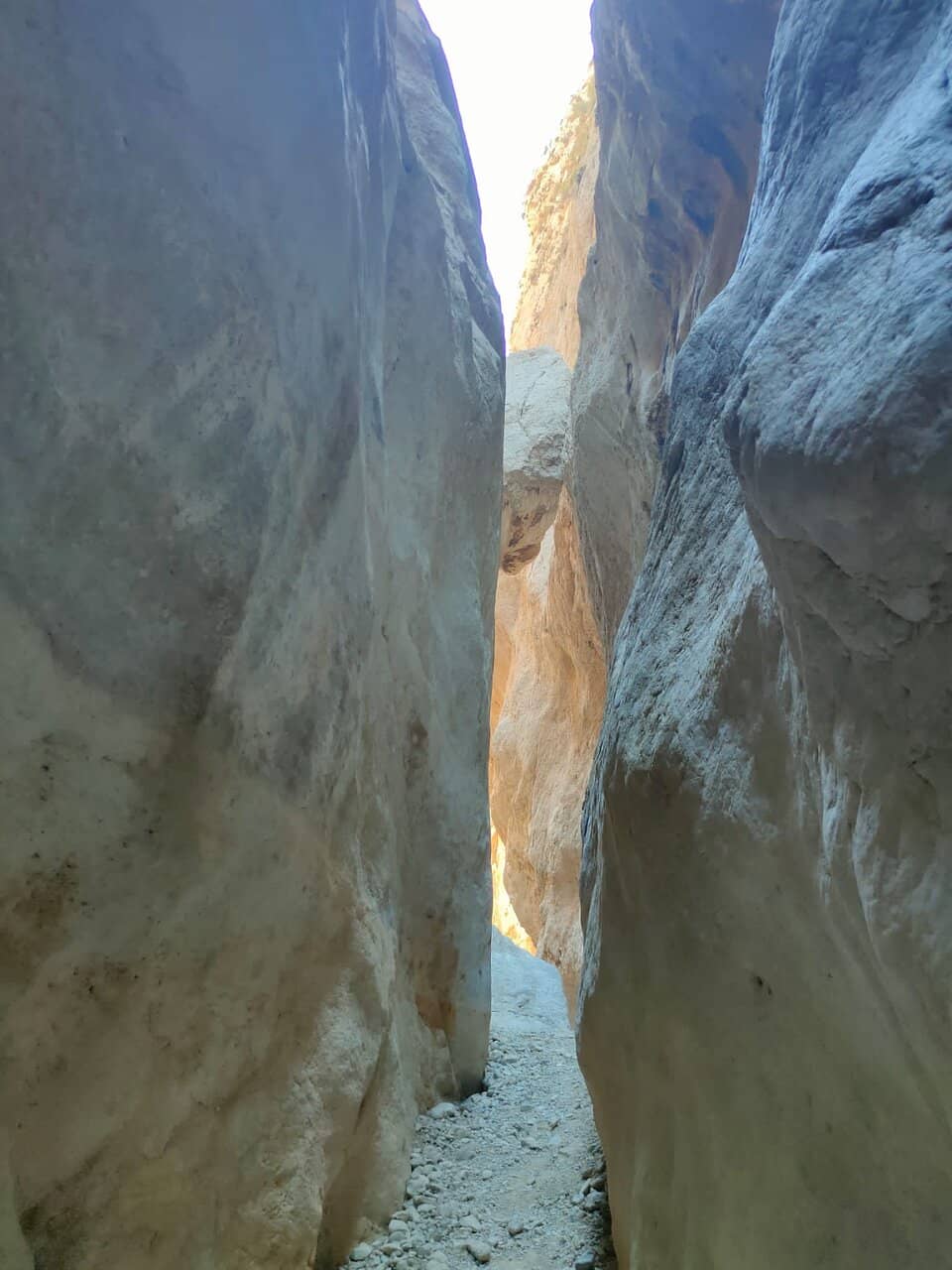 Vertical photo