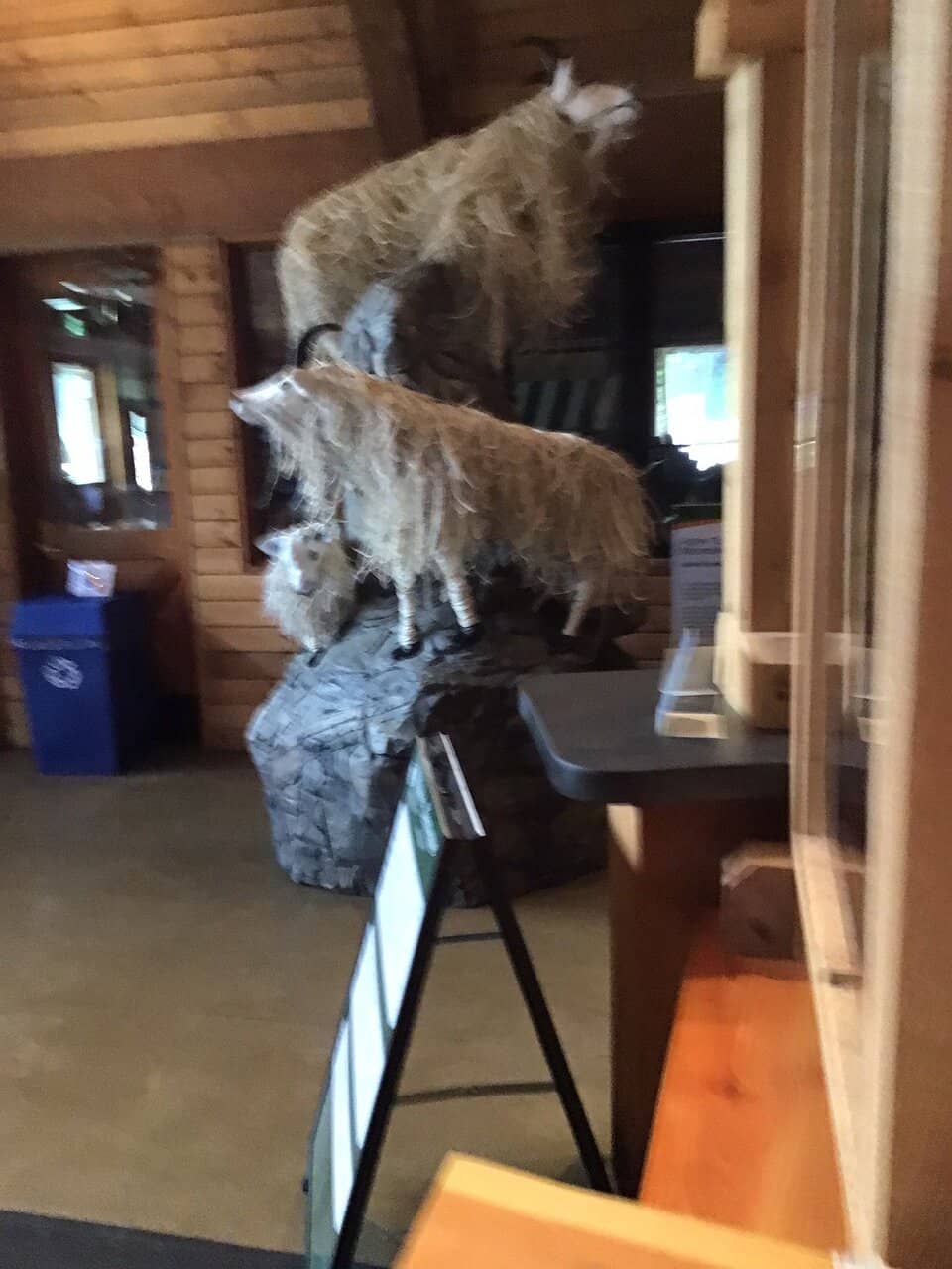 Immaculately Clean Restrooms