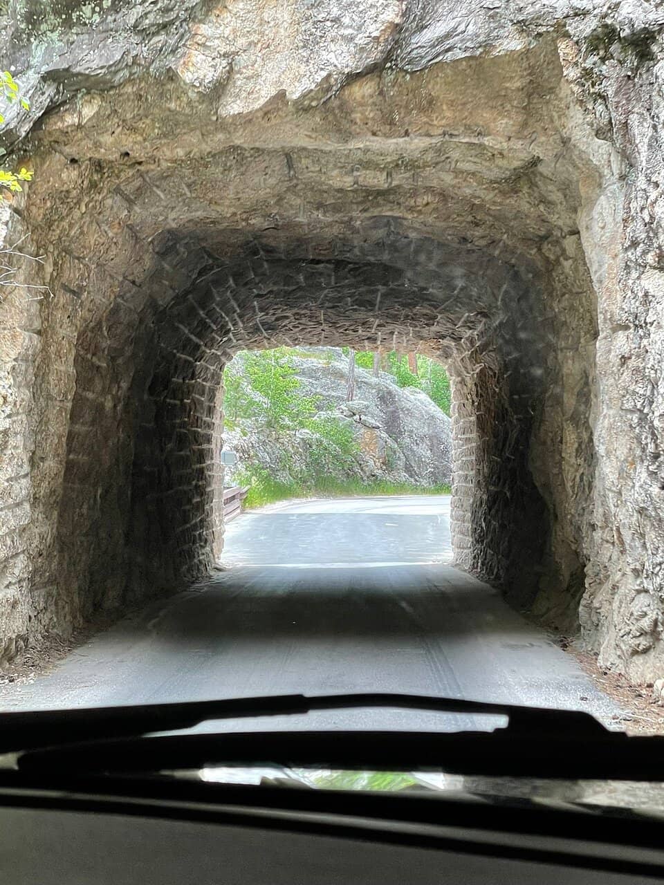 Wildlife Loop Road