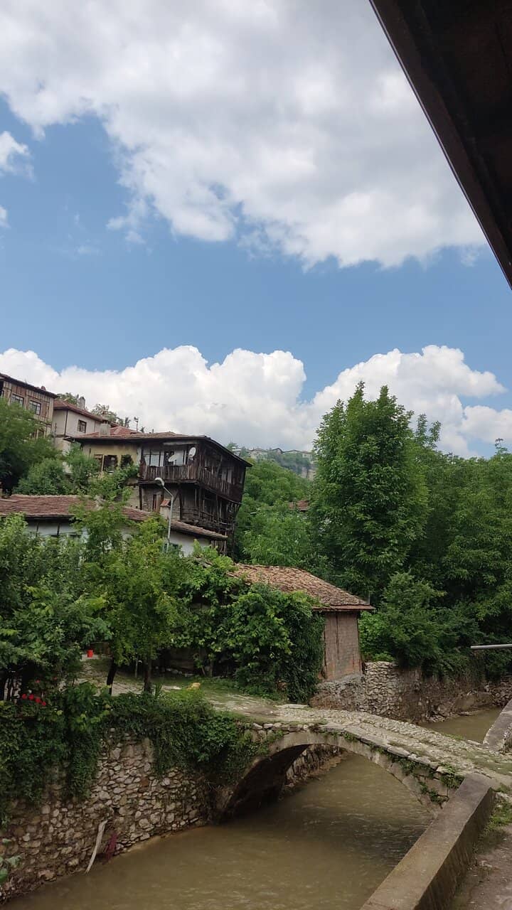 Vertical photo