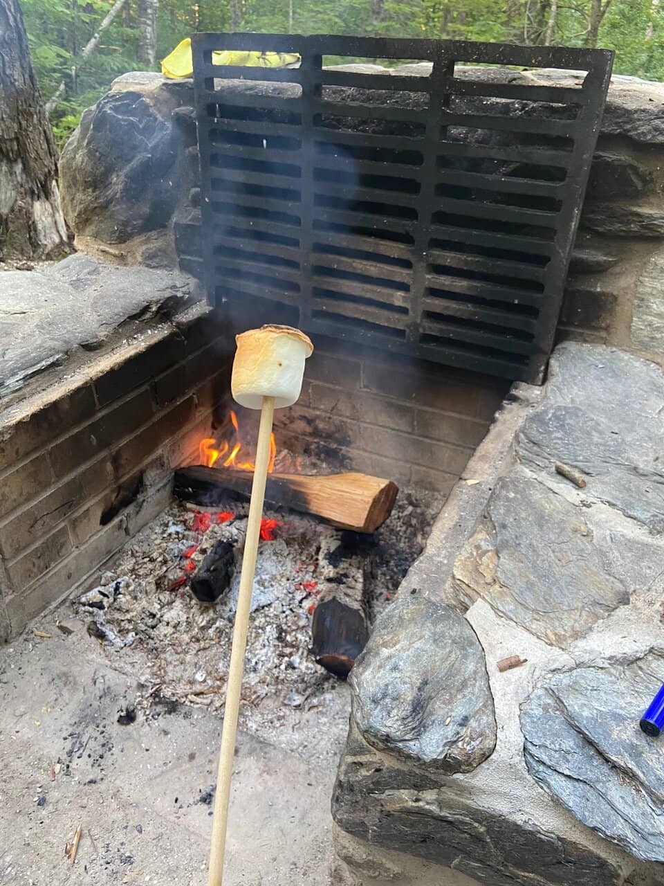 Woodland Camping