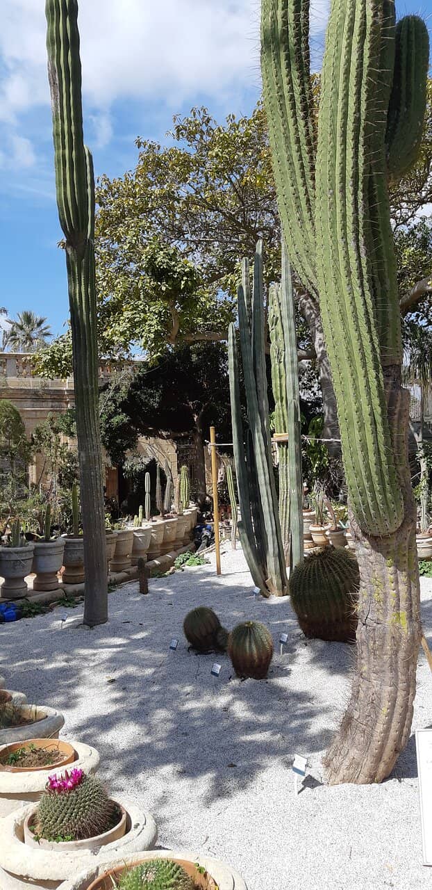 Thursday Guided Tour