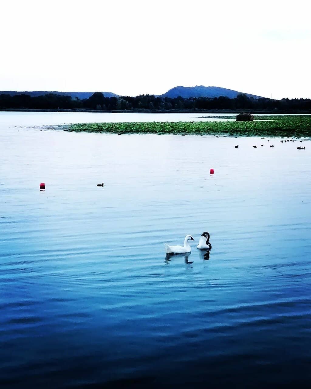 Archaeological Museum