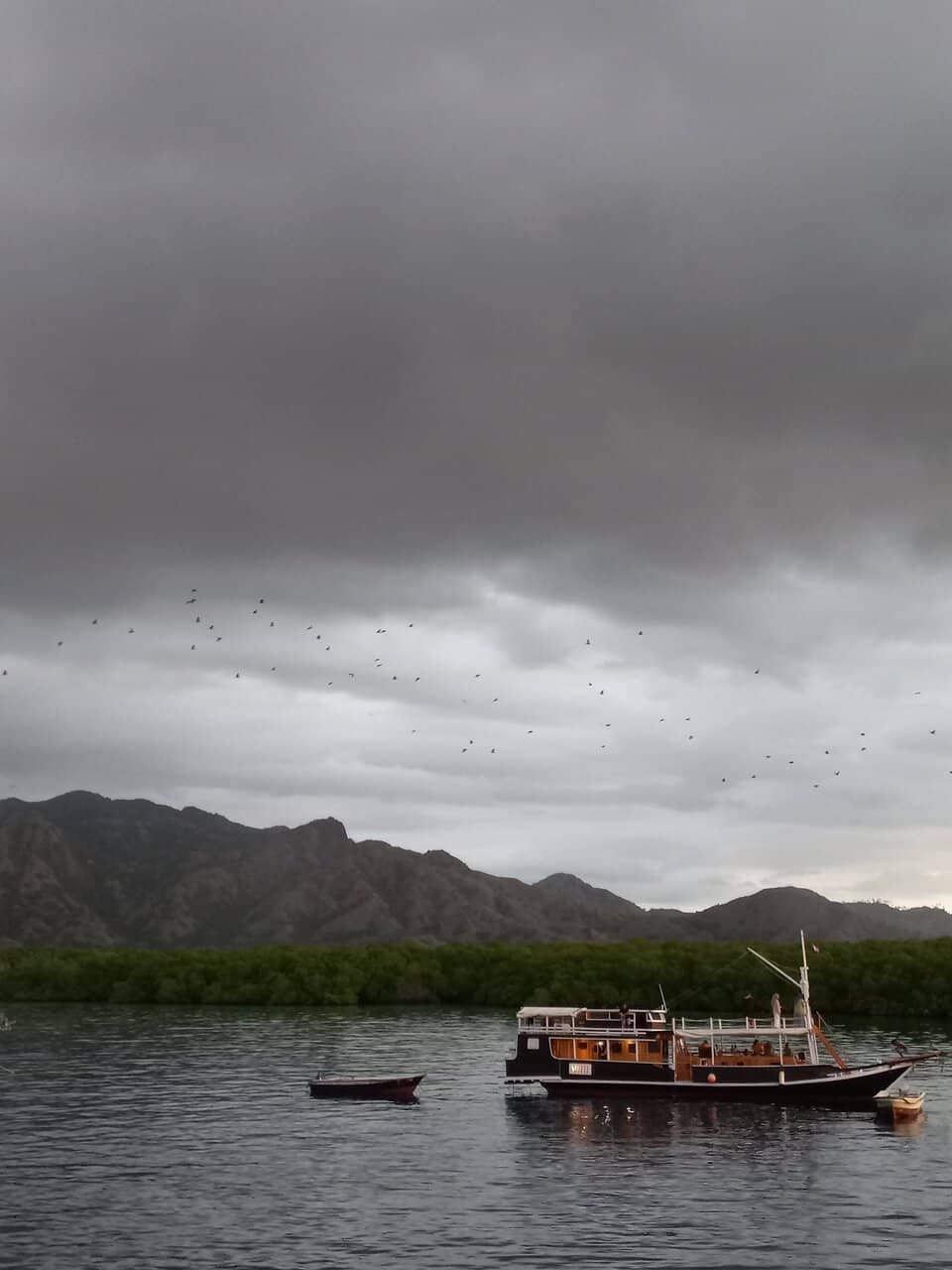 The Great Bat Exodus