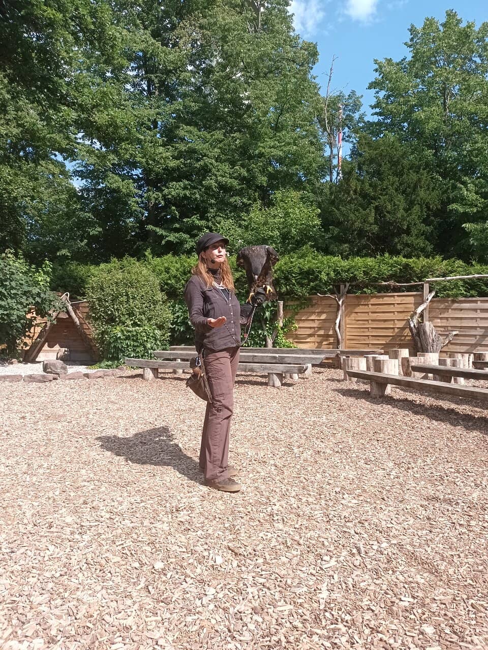 Close Encounters with Raptors