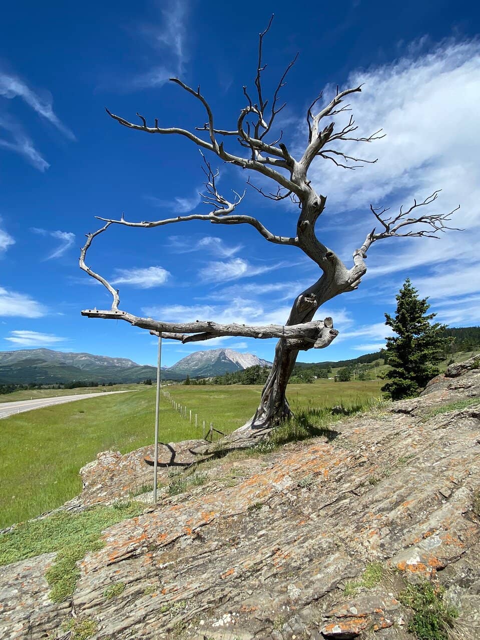 Crowsnest Pass Scenery
