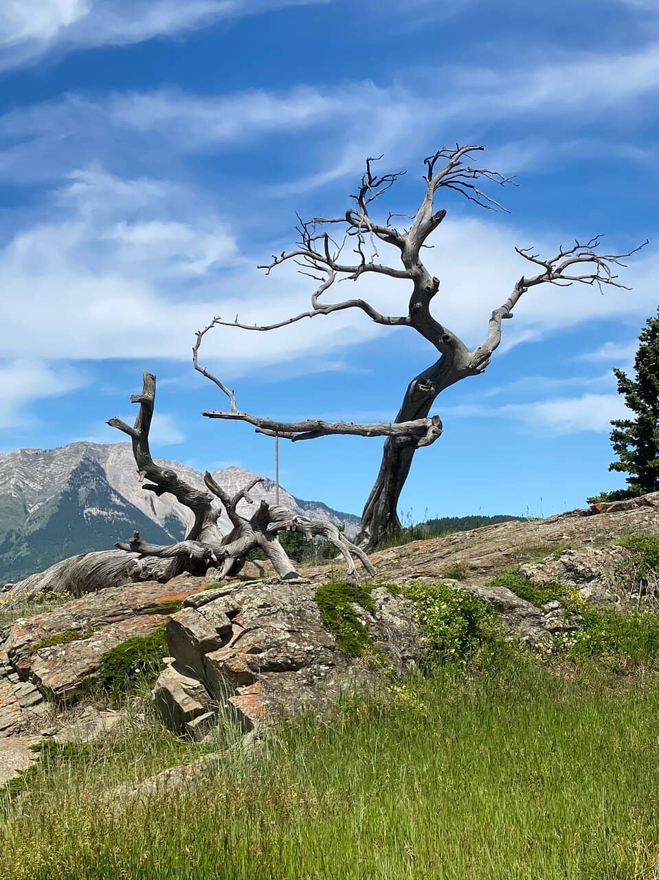 Vertical photo