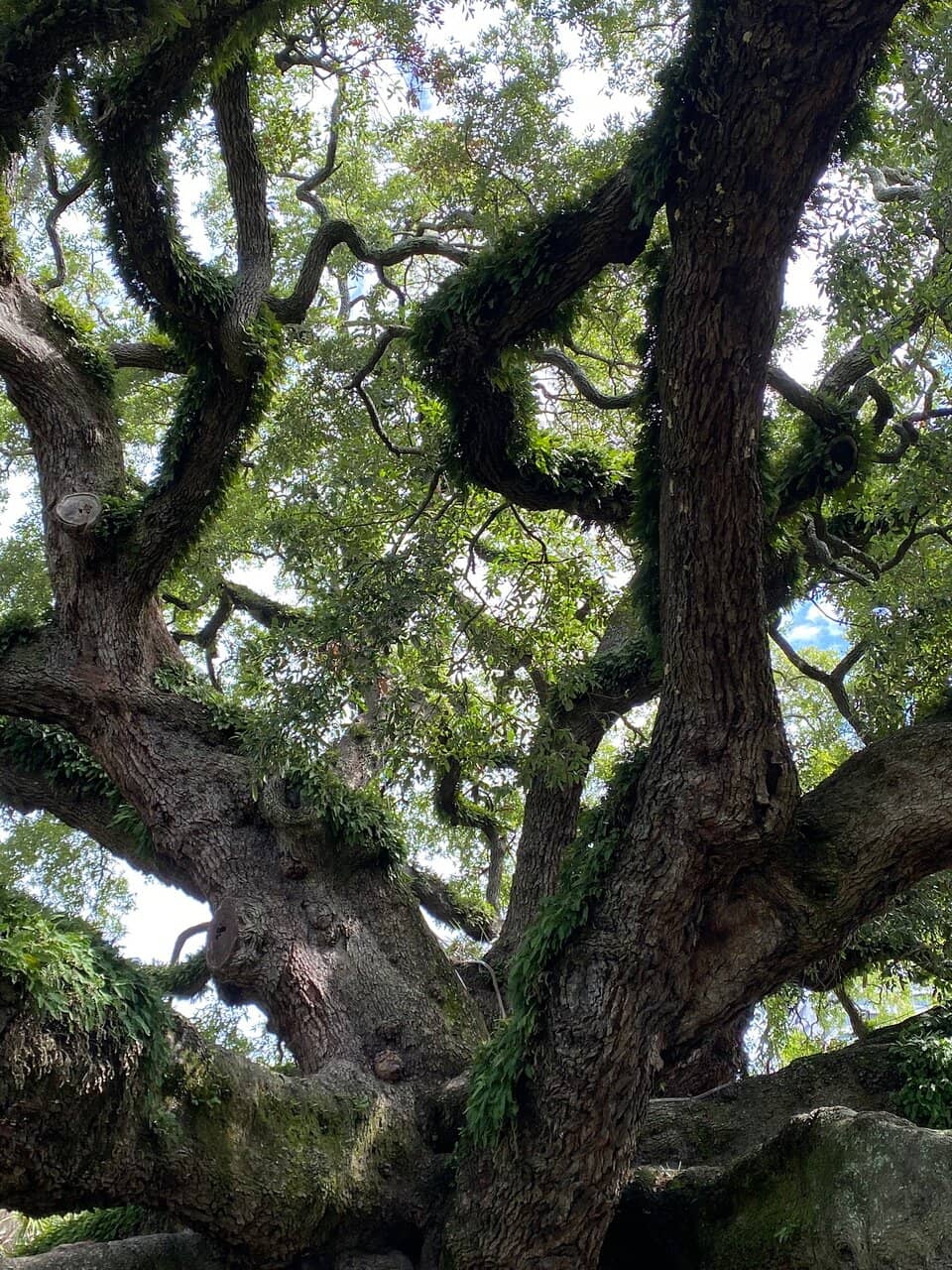 Jessie Ball duPont Park