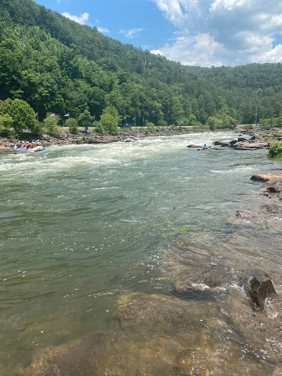 Suspension Bridge Views