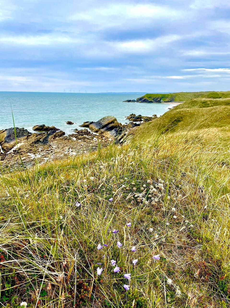 Birdwatching Hotspot