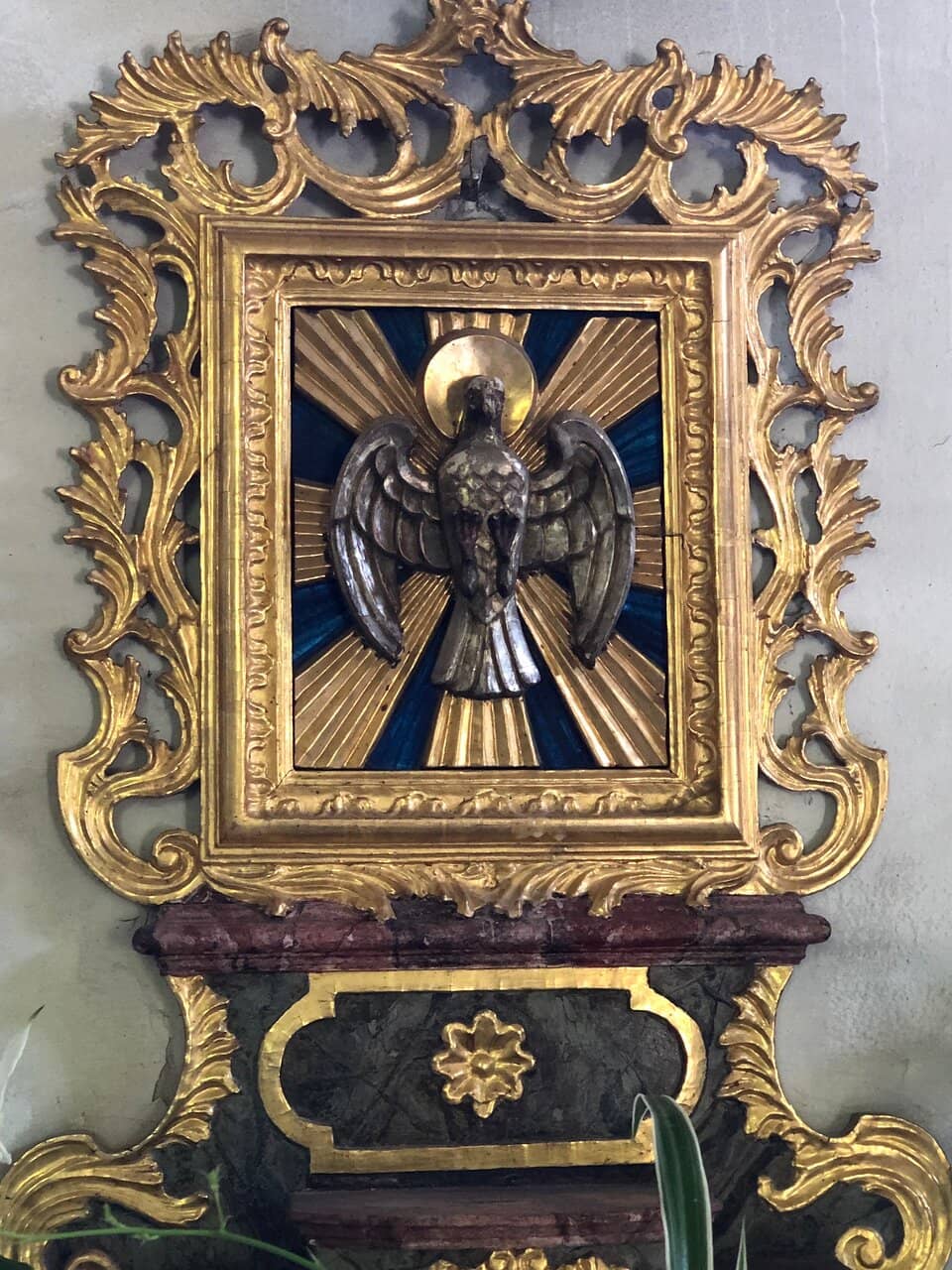 Vertical photo