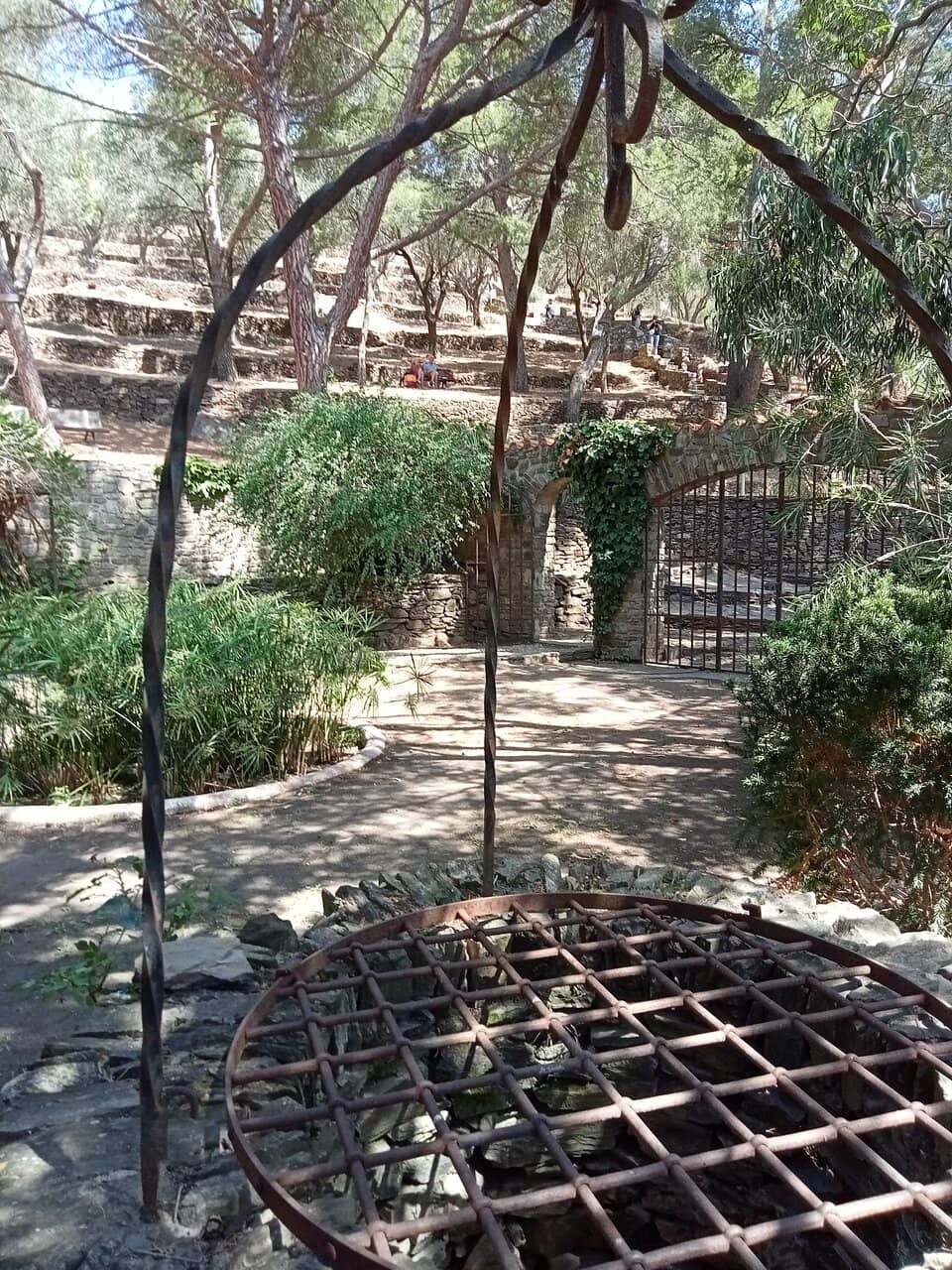 Local Artist Collections