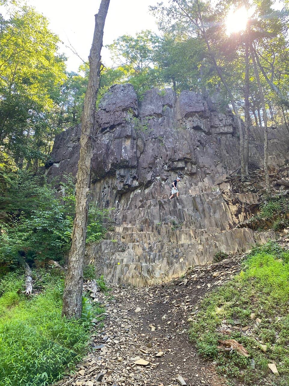 Vertical photo