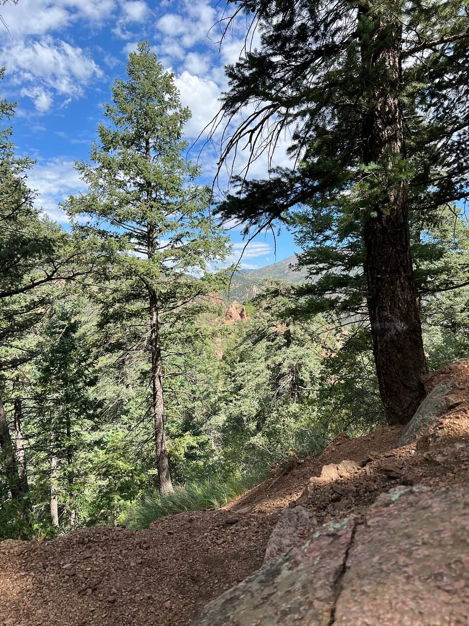 Vertical photo