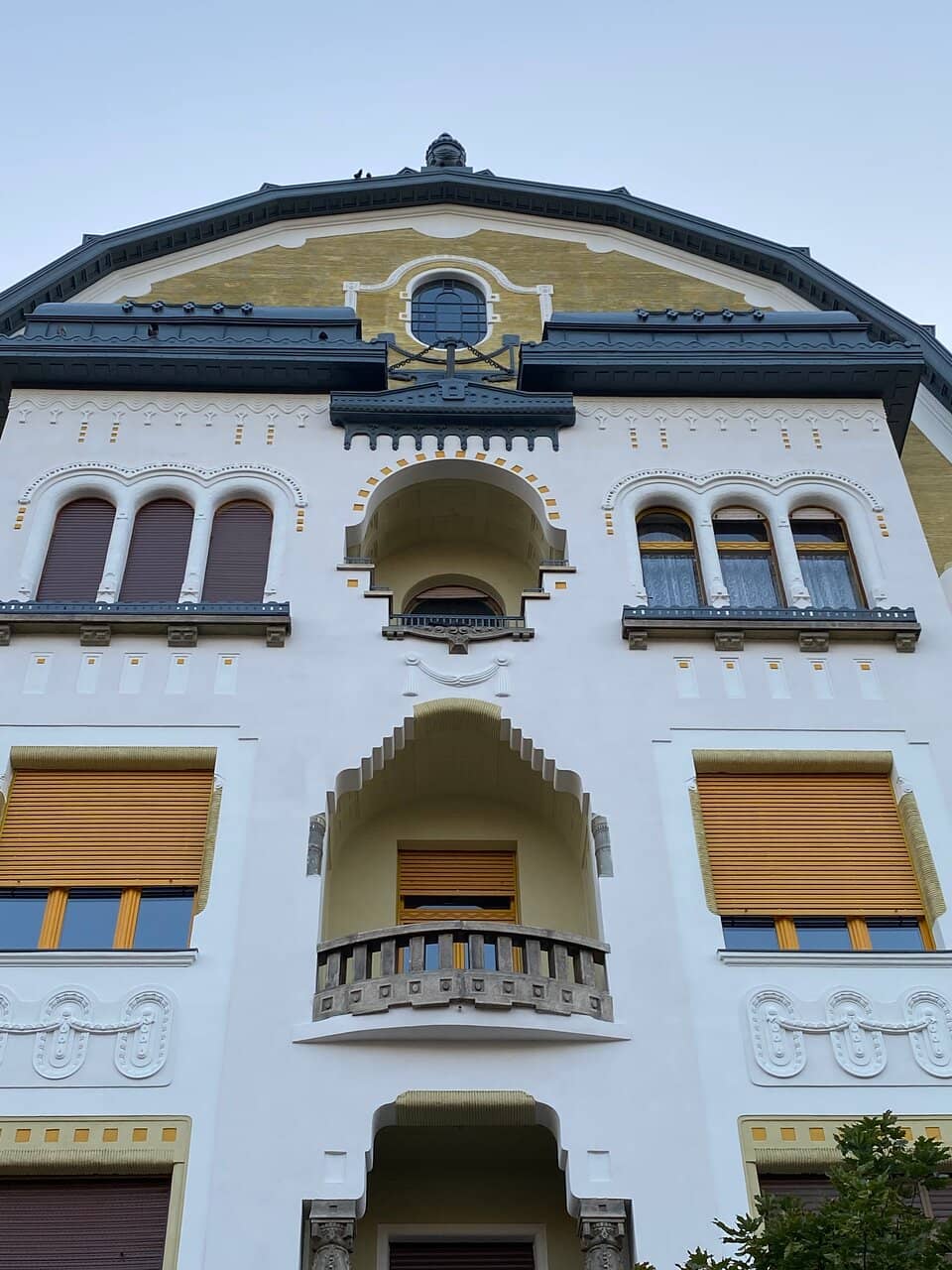 Vertical photo