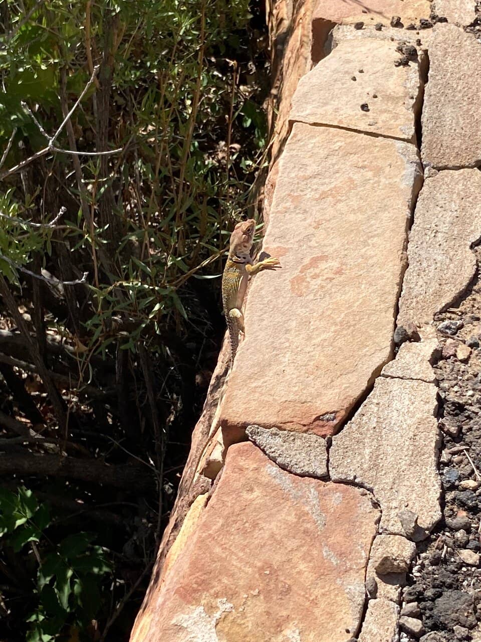 Scenic 1-Mile Loop Hike