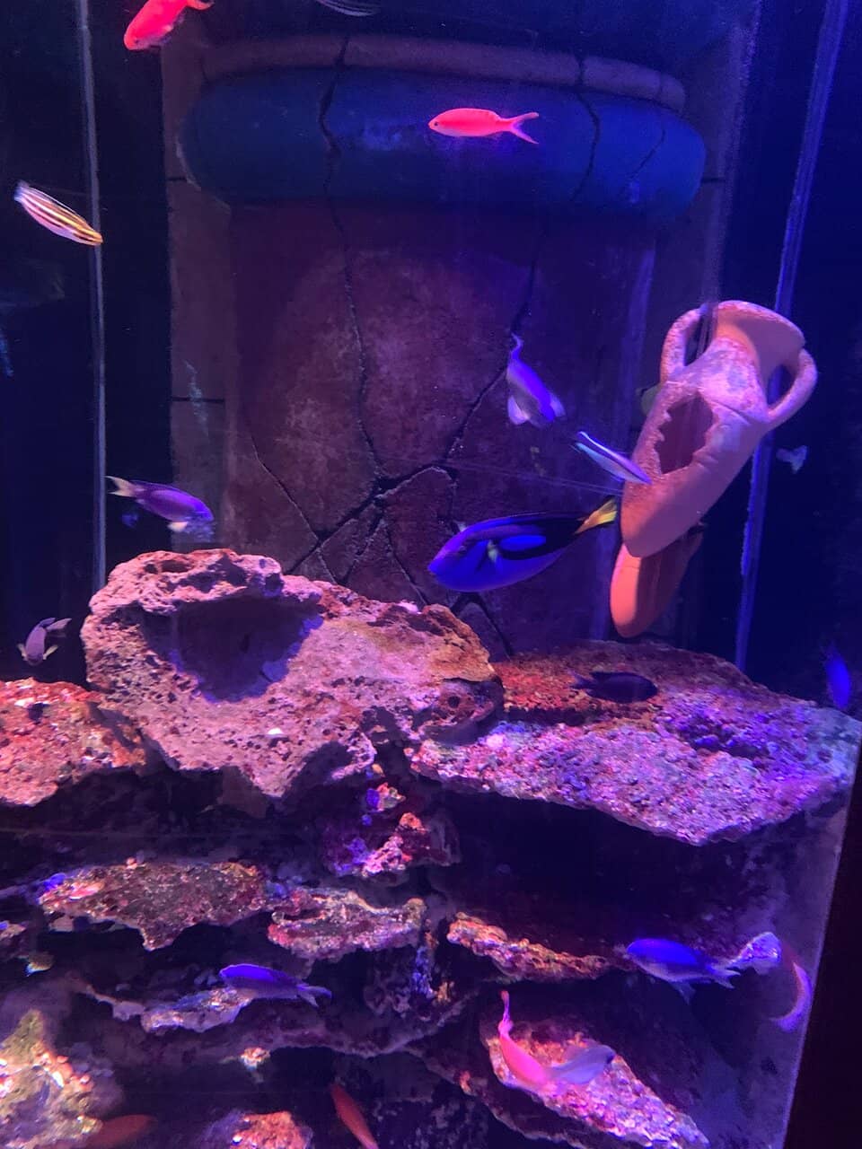 Underwater Tunnels