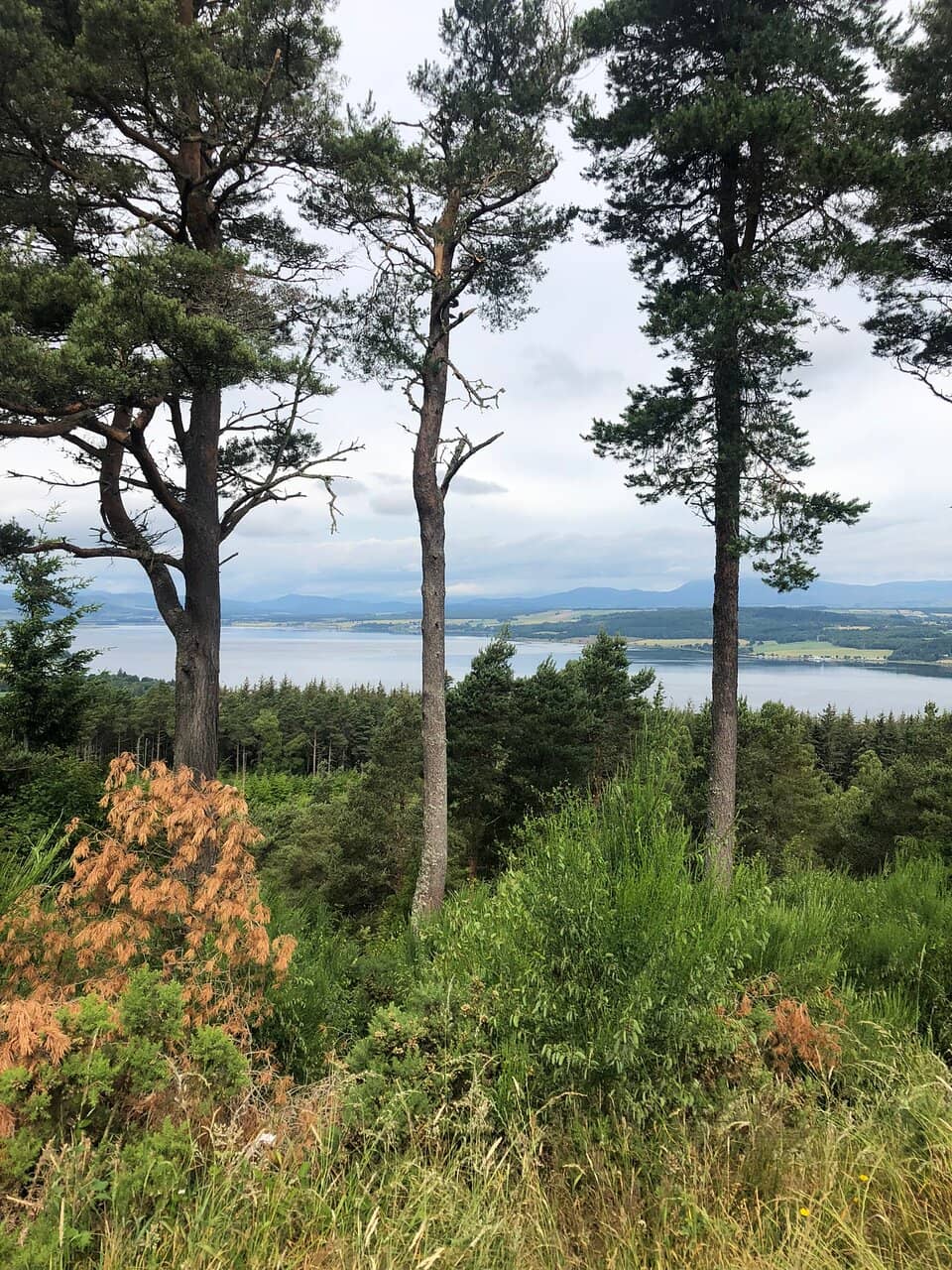 Panoramic Views